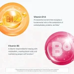 کپسول ویتامین b12 b6 یوتئوری 1000میلی گرم 60 تایی